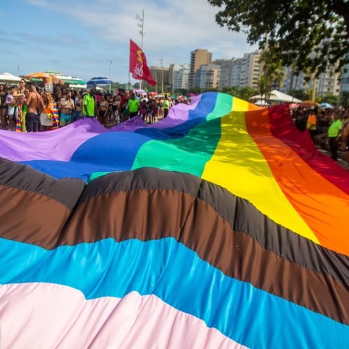 Bandeira de nossa parada (2025) com as novas classificações de gênero e sexualidade.